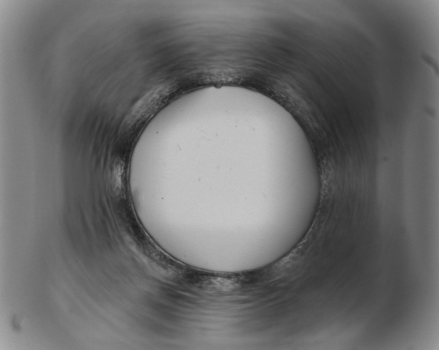 X0000102870166200809081213