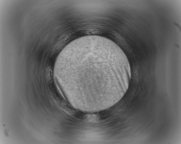 X0000102870169200809081214