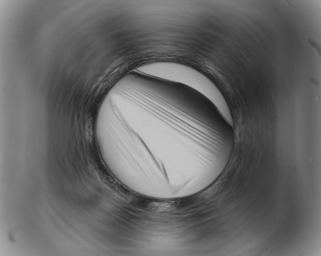 X0000102870170200809081214