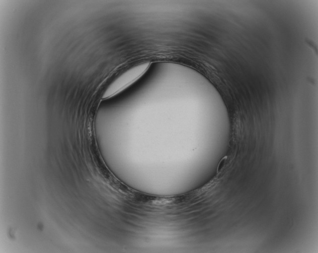 X0000102870172200809081214