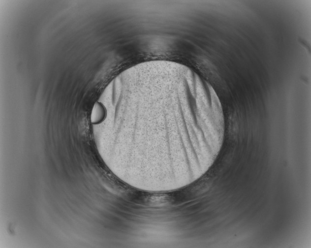 X0000102870173200809081214