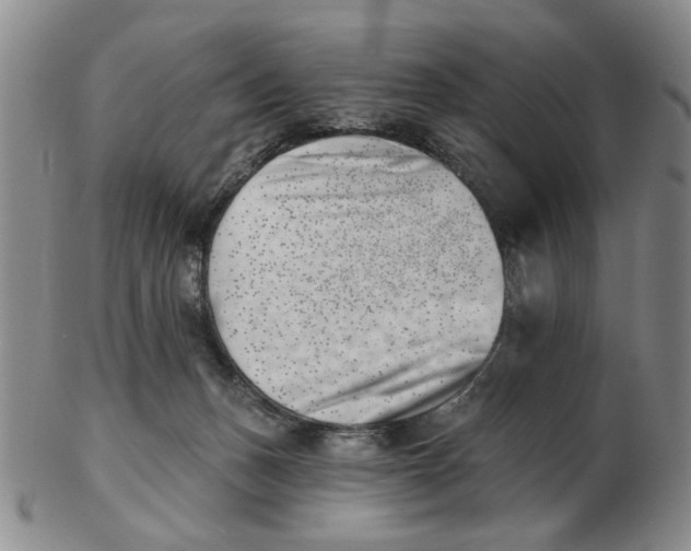 X0000102870175200809081214