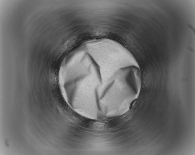 X0000102870176200809081214