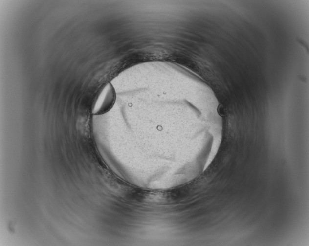 X0000102870177200809081214