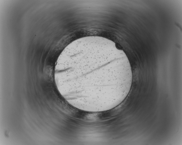 X0000102870178200809081214