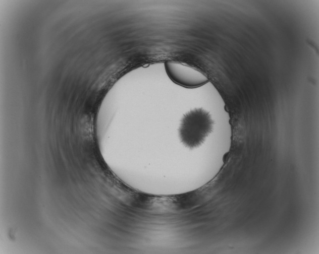 X0000102870179200809081214