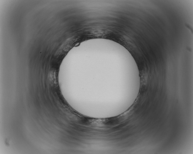 X0000102870182200809081214