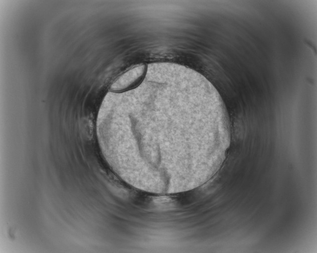 X0000102870183200809081214