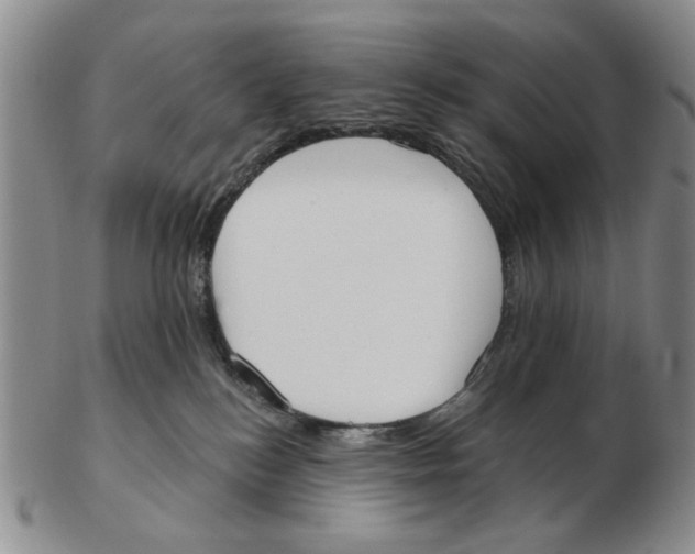 X0000102870184200809081214