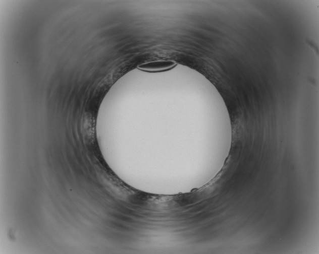 X0000102870186200809081214