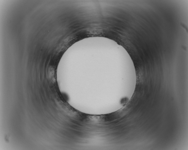 X0000102870187200809081214