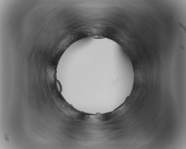 X0000102870188200809081214