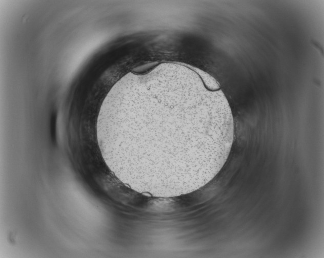 X0000102870189200809081214