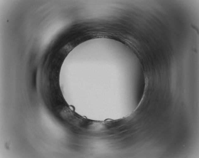 X0000102870190200809081214