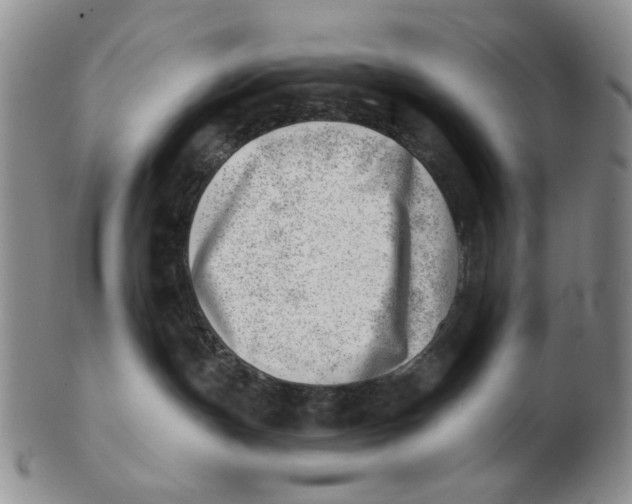 X0000102870191200809081214