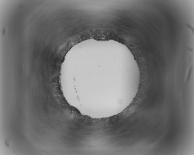 X0000102870192200809081214