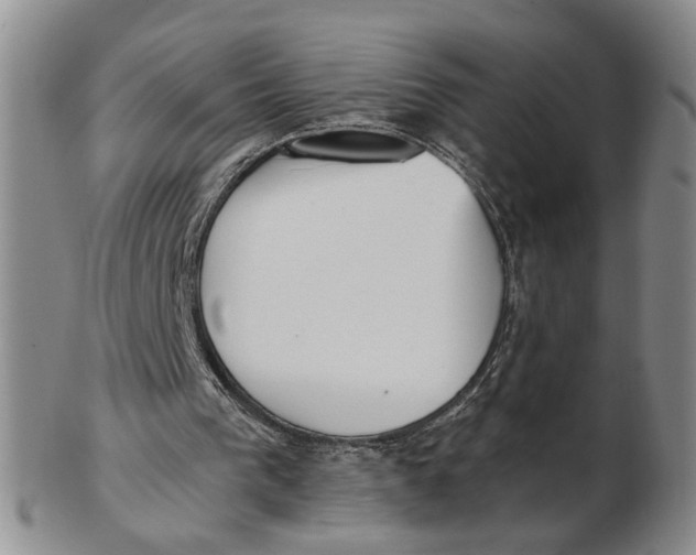 X0000102870193200809081213