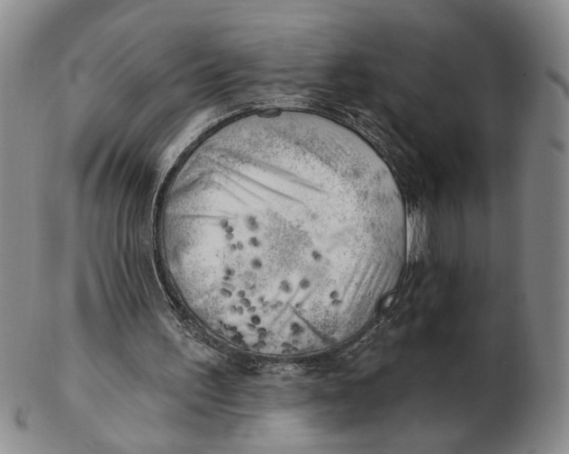 X0000102870195200809081213