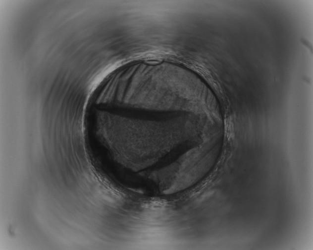 X0000102870196200809081213