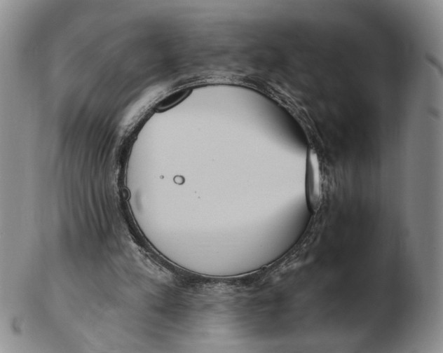 X0000102870197200809081213