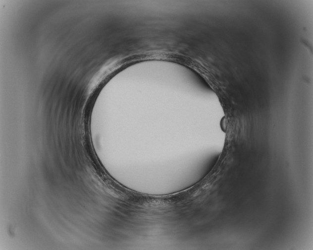 X0000102870198200809081213