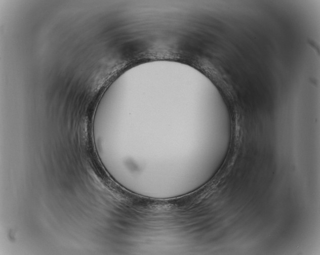 X0000102870202200809081213