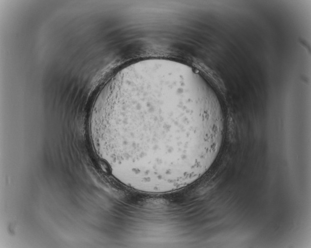 X0000102870203200809081213