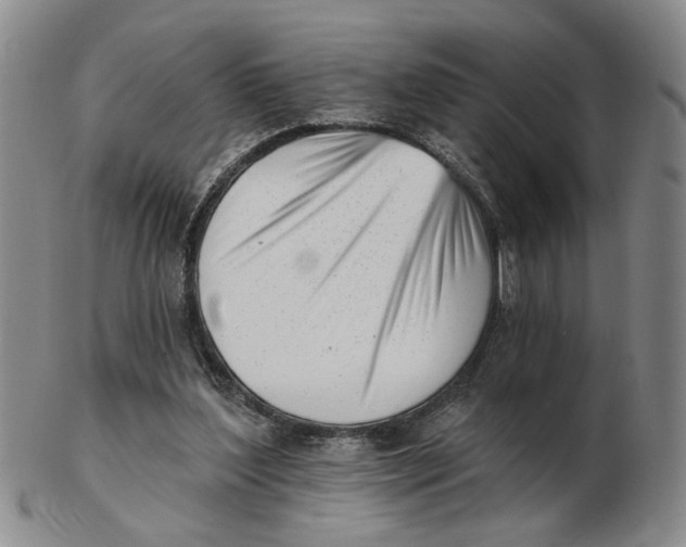 X0000102870204200809081213