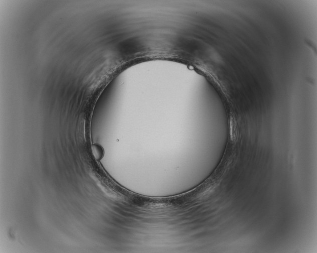 X0000102870205200809081213