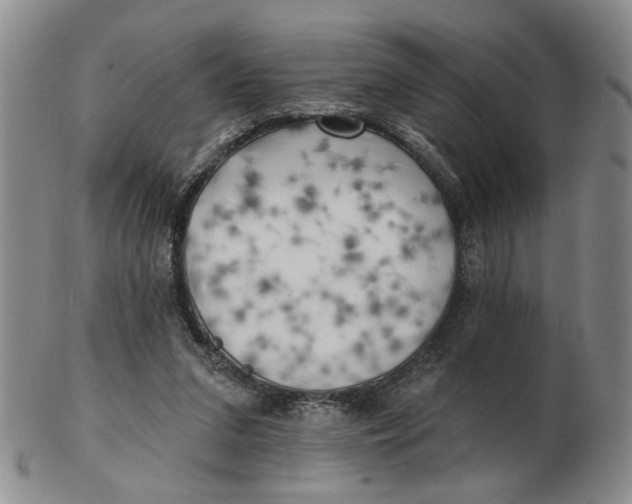 X0000102870207200809081213