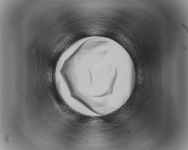 X0000102870210200809081213