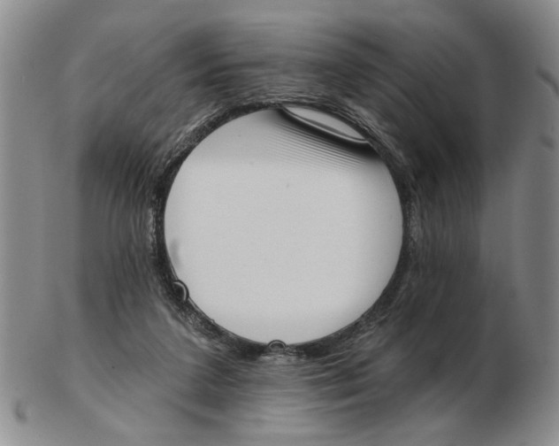 X0000102870211200809081213