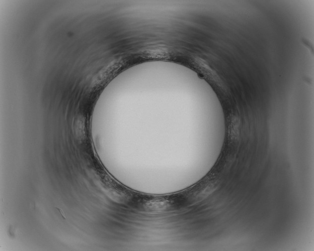 X0000102870213200809081213