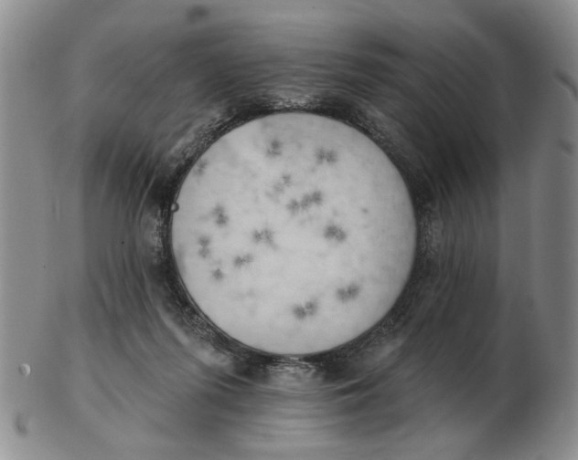 X0000102870215200809081213