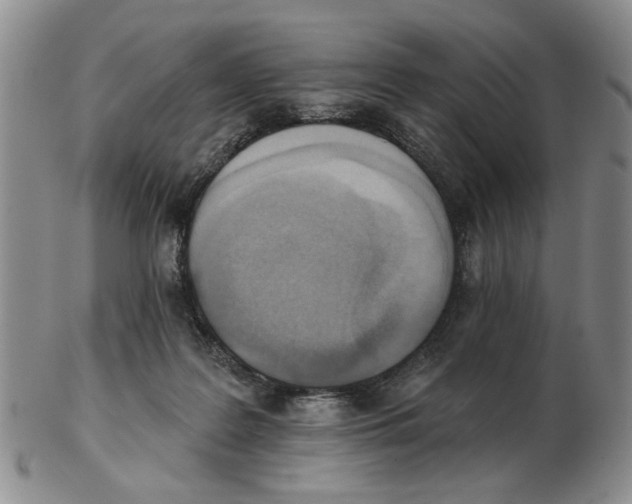 X0000102870219200809081213