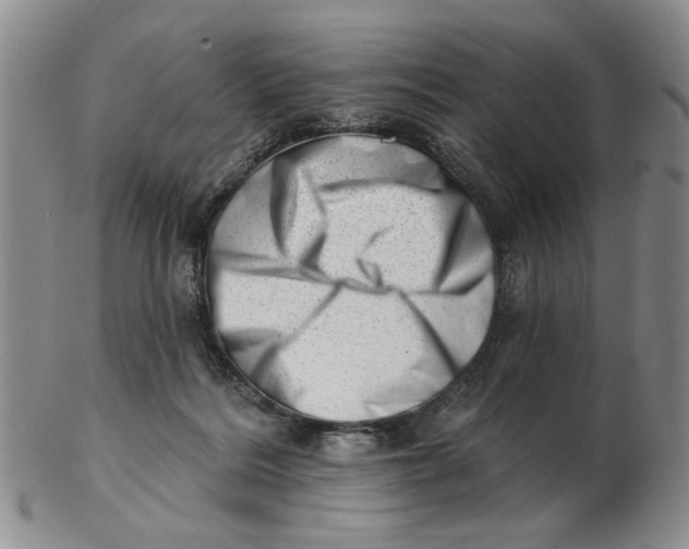 X0000102870220200809081213