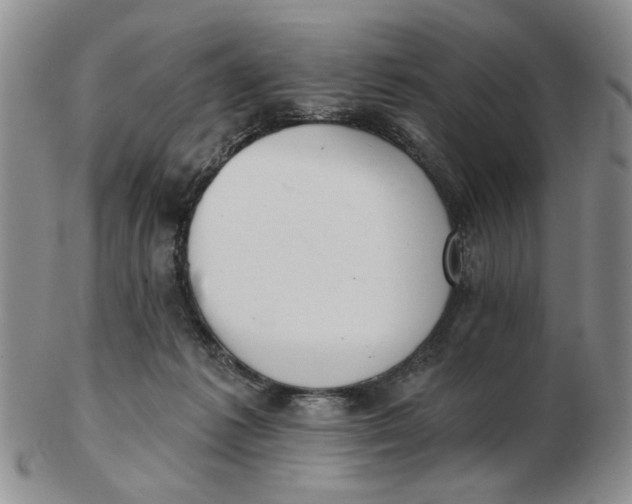 X0000102870221200809081213