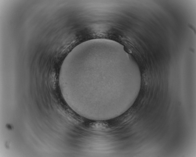 X0000102870223200809081213