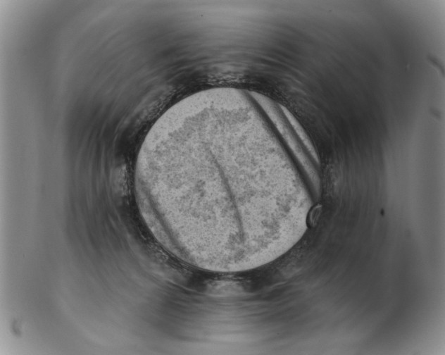 X0000102870224200809081213