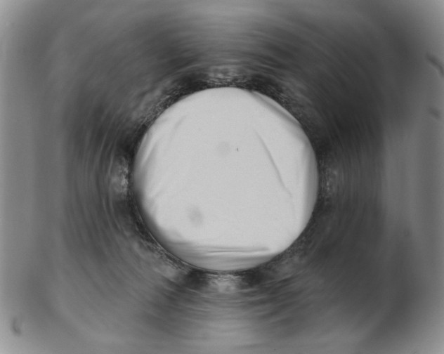 X0000102870226200809081213