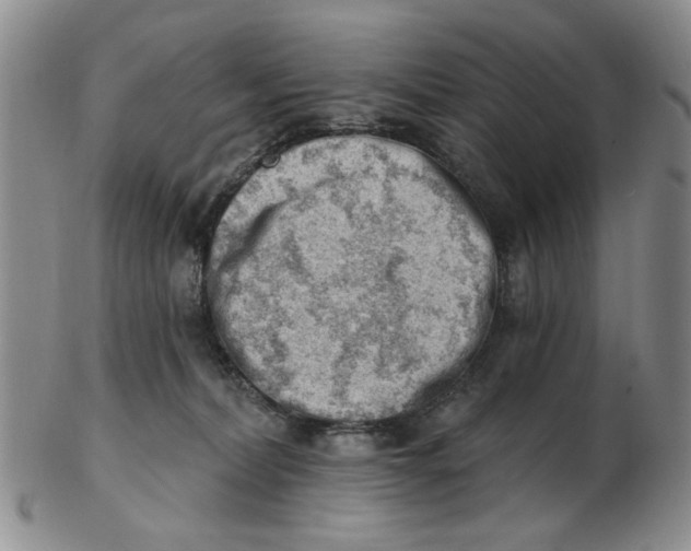 X0000102870228200809081213