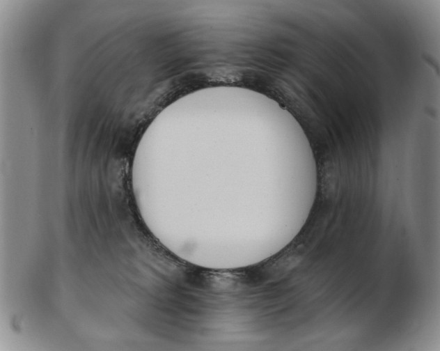 X0000102870229200809081213