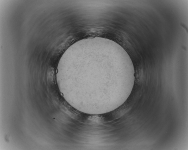 X0000102870231200809081213