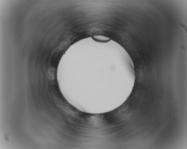 X0000102870232200809081213