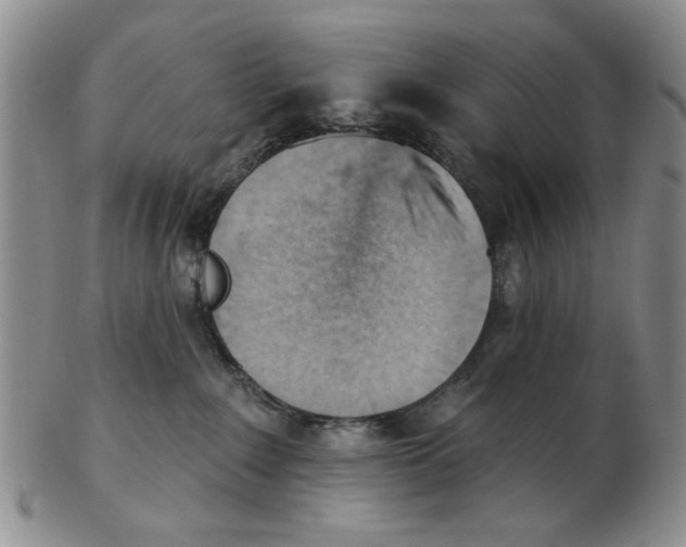 X0000102870235200809081213