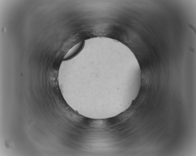 X0000102870237200809081213