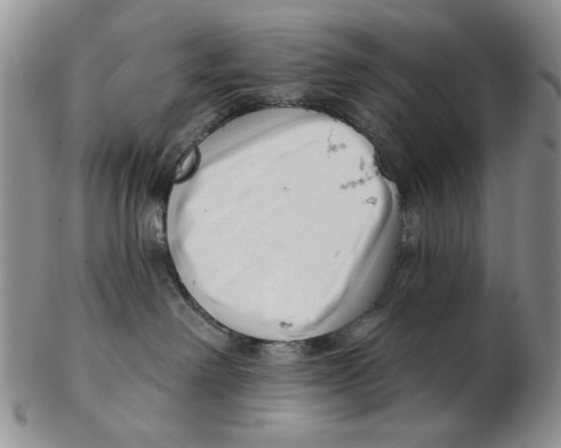 X0000102870238200809081213