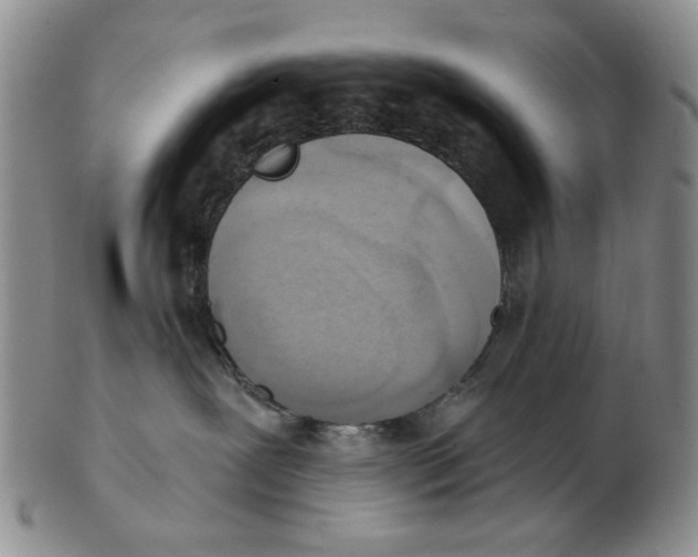 X0000102870239200809081212