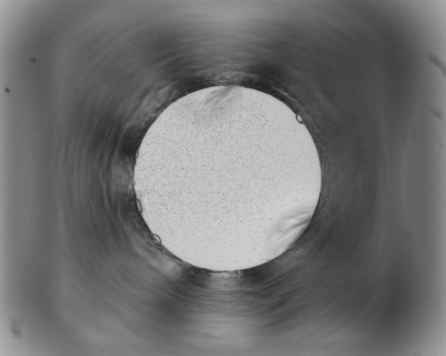 X0000102870240200809081212