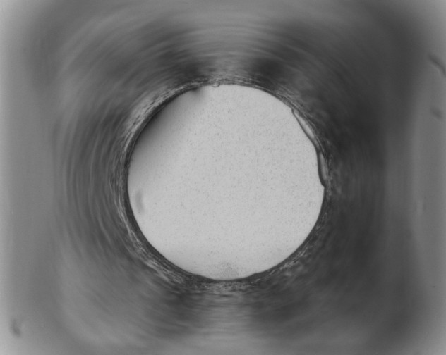 X0000102870241200809081212